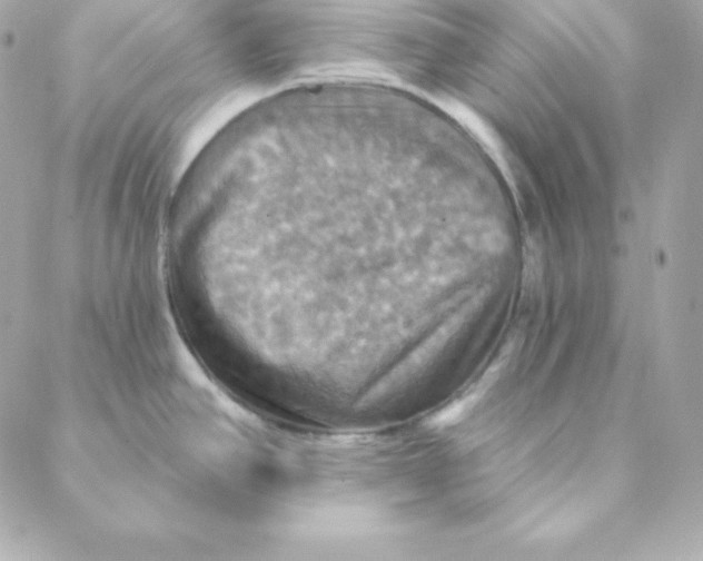 X0000088201390200706051221