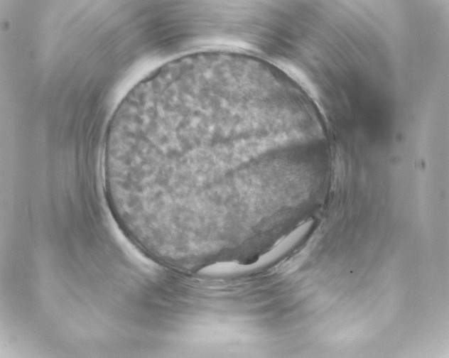 X0000088201391200706051221