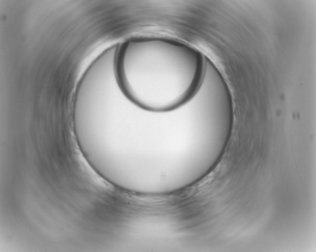 X0000088201392200706051221