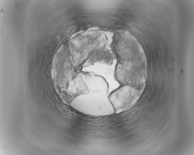 X0000088201393200706051220