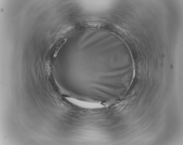 X0000088201394200706051220