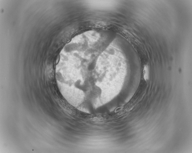 X0000088201395200706051220