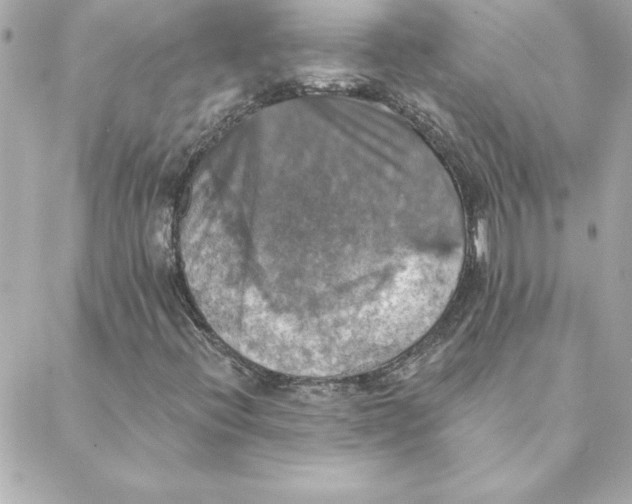 X0000088201396200706051220