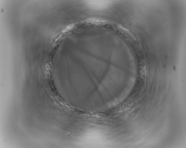 X0000088201397200706051220