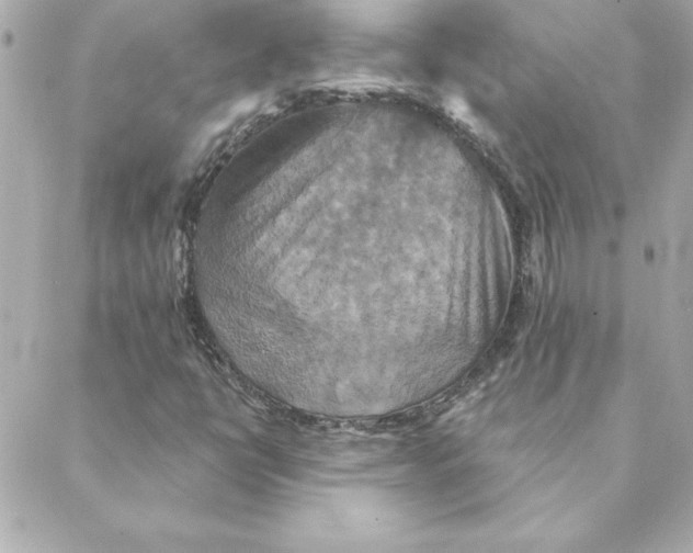 X0000088201398200706051220