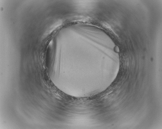 X0000088201399200706051220