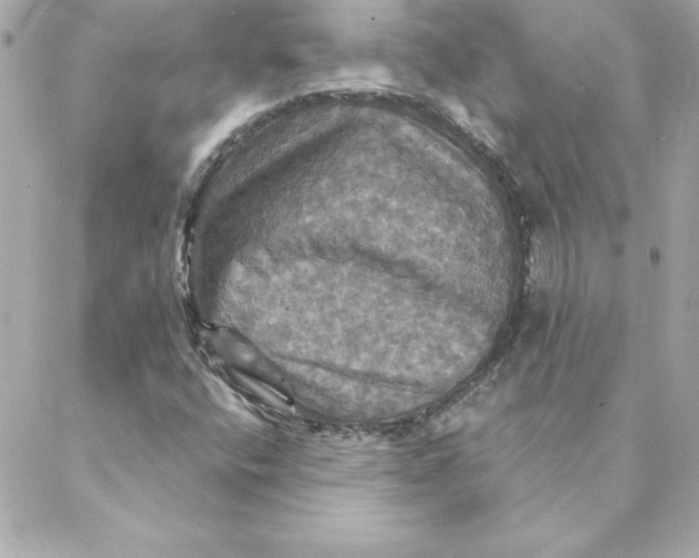 X0000088201400200706051220