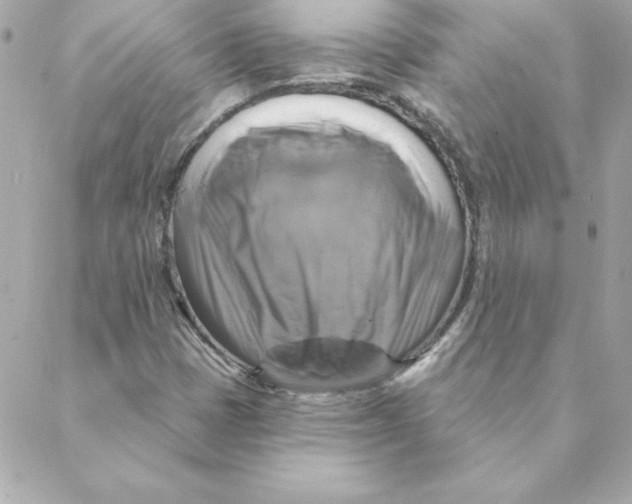 X0000088201401200706051220