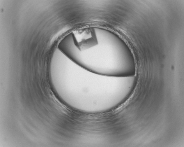 X0000088201402200706051220