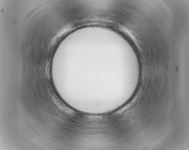 X0000088201403200706051220