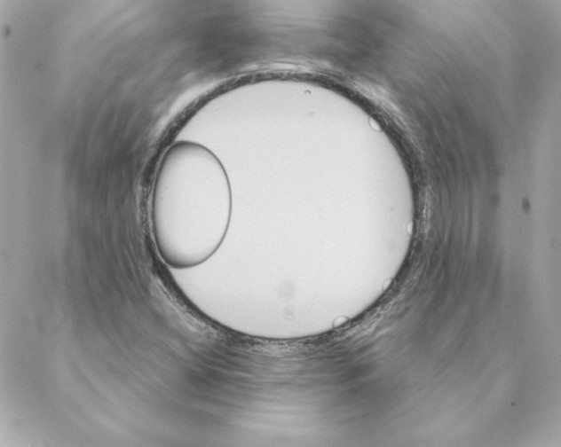 X0000088201404200706051220