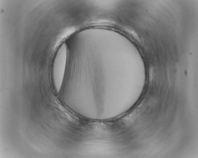 X0000088201405200706051220