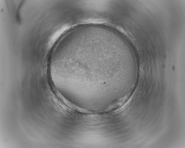 X0000088201406200706051220