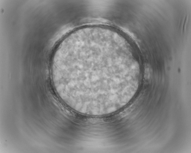 X0000088201407200706051220