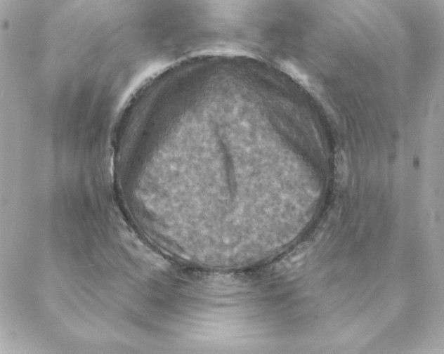 X0000088201408200706051220