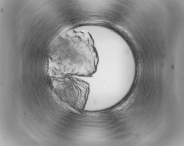 X0000088201409200706051220