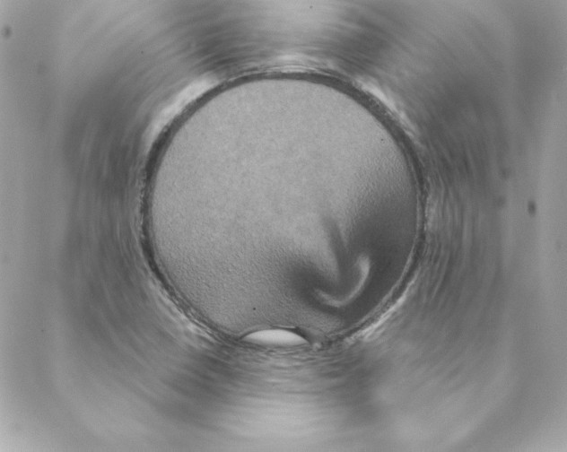 X0000088201410200706051220