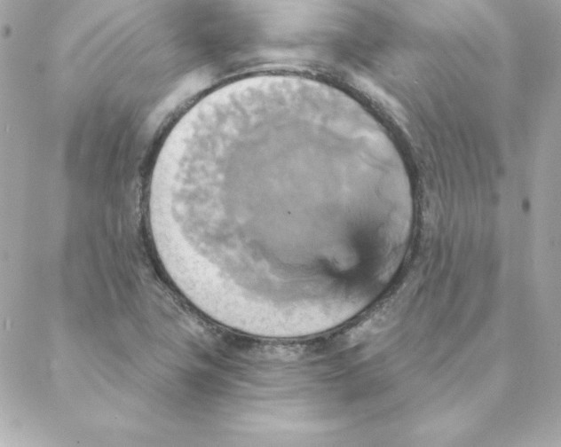 X0000088201411200706051220