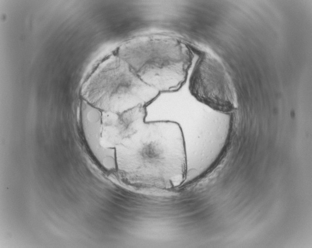 X0000088201413200706051220