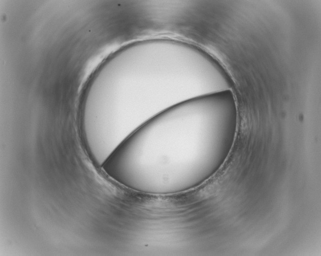 X0000088201414200706051220