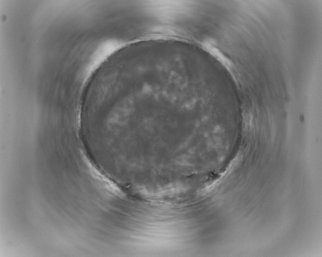 X0000088201415200706051220