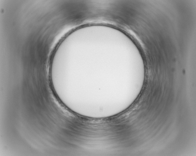 X0000088201416200706051220