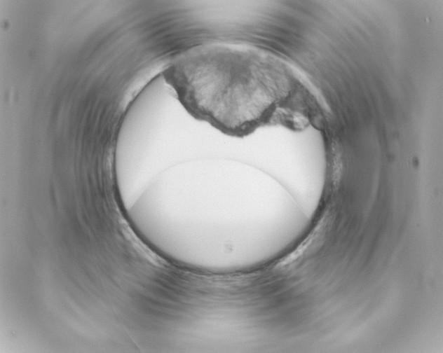 X0000088201417200706051220