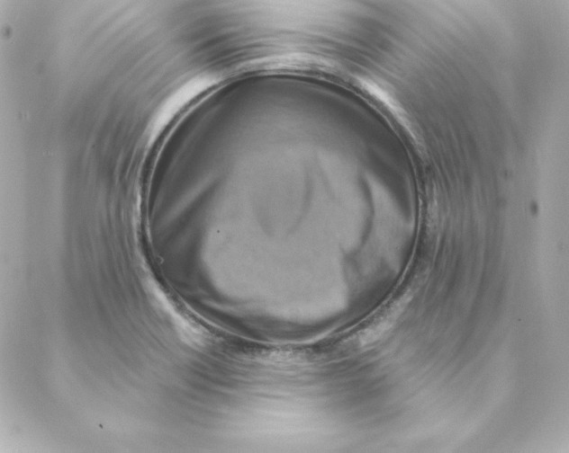 X0000088201418200706051220