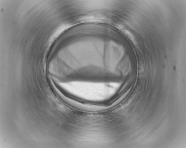 X0000088201419200706051220