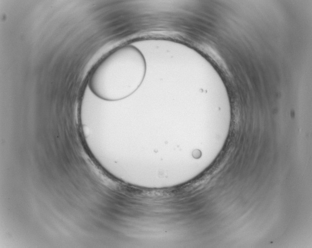 X0000088201420200706051220