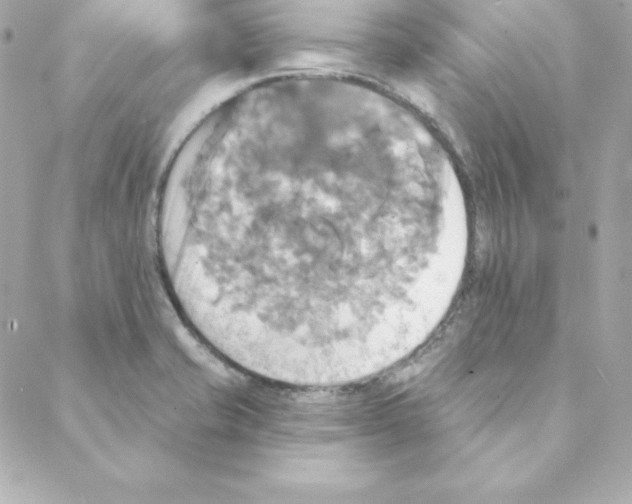 X0000088201421200706051220