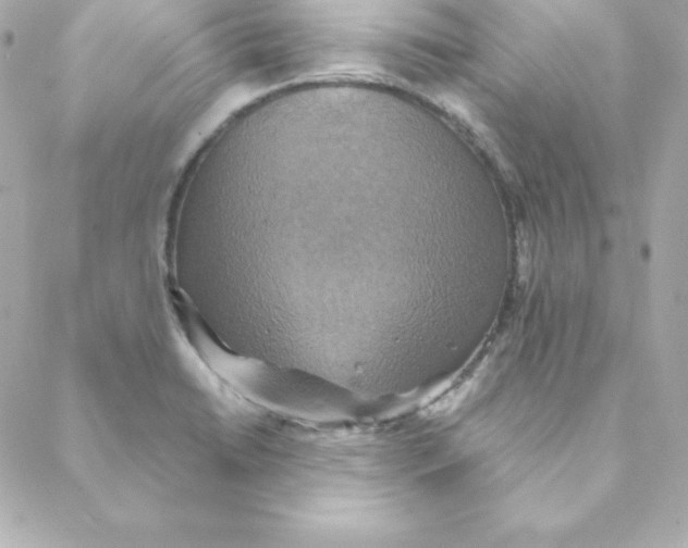 X0000088201422200706051220