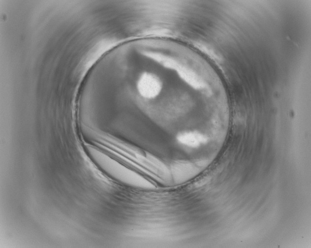 X0000088201423200706051220