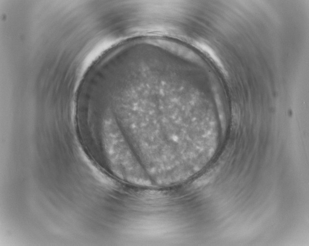 X0000088201424200706051220