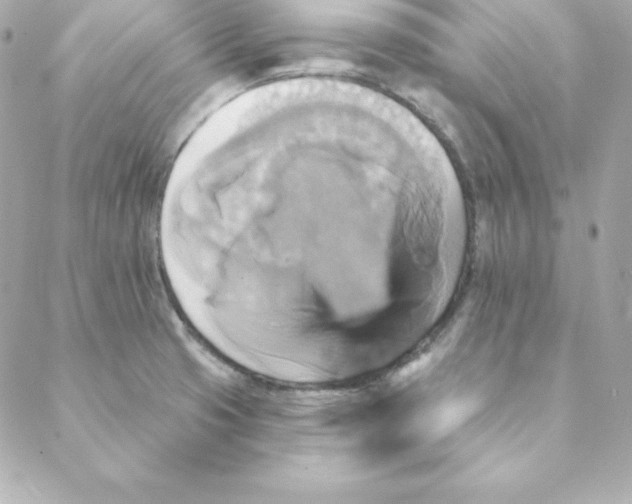 X0000088201425200706051220