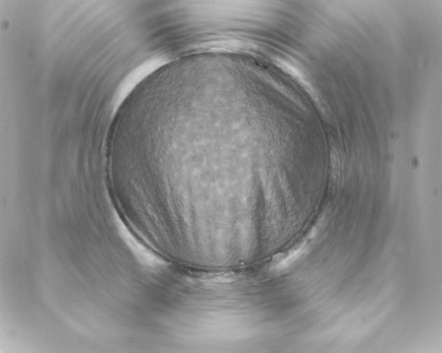 X0000088201426200706051220