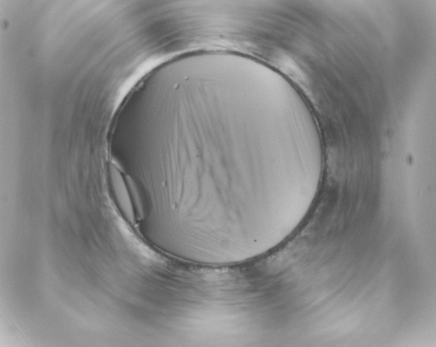 X0000088201428200706051220