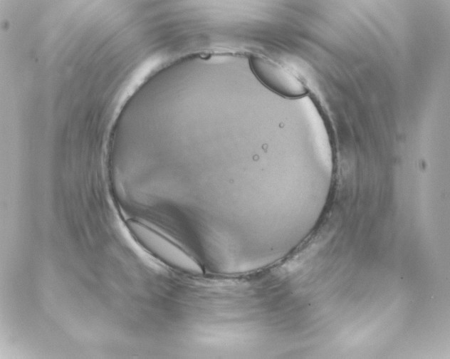 X0000088201429200706051220