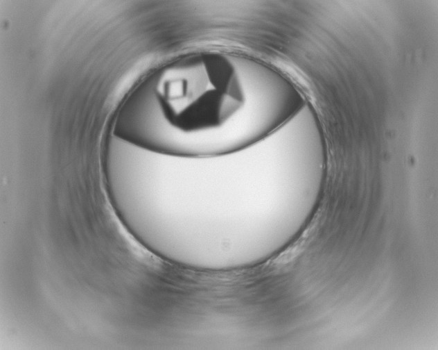 X0000088201430200706051220