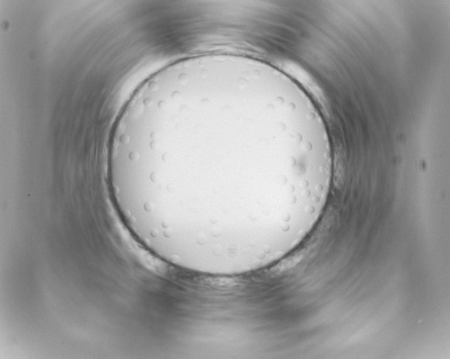 X0000088201431200706051221