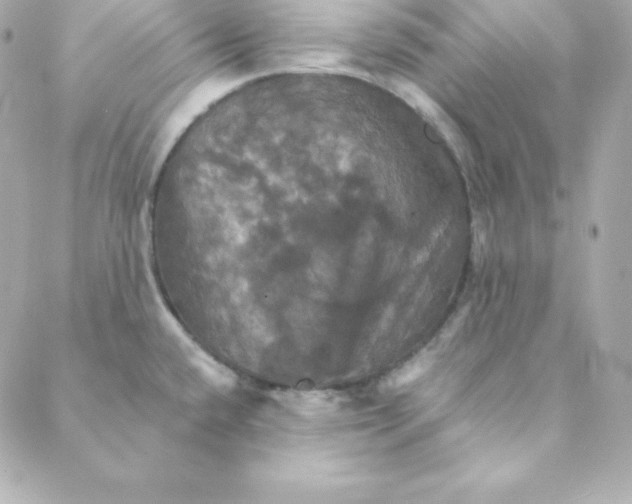 X0000088201432200706051221