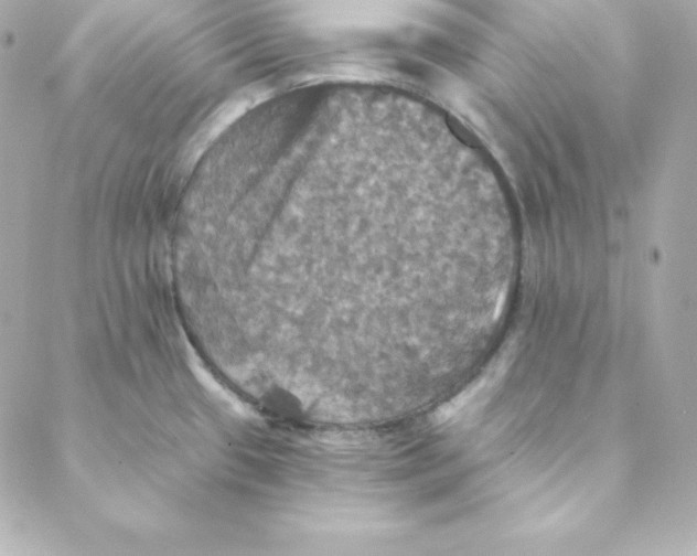 X0000088201433200706051221