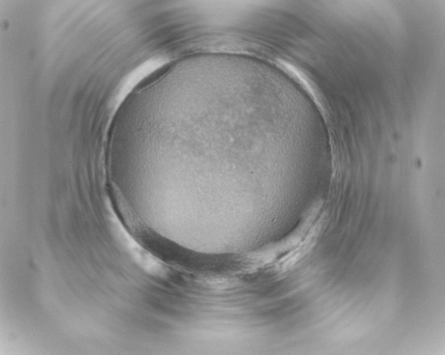 X0000088201434200706051221