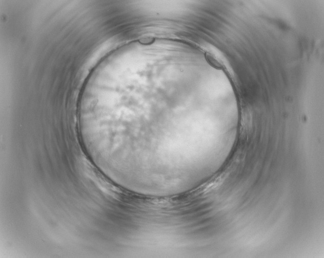 X0000088201435200706051221