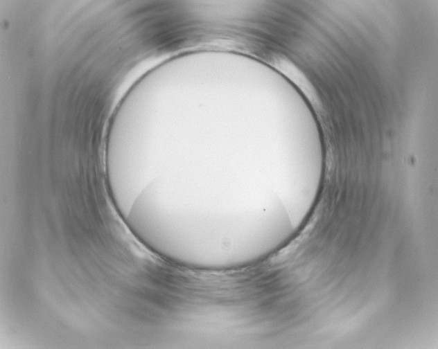 X0000088201436200706051221