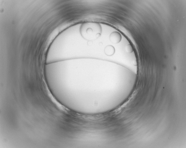 X0000088201437200706051221