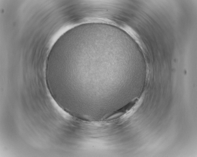 X0000088201438200706051221