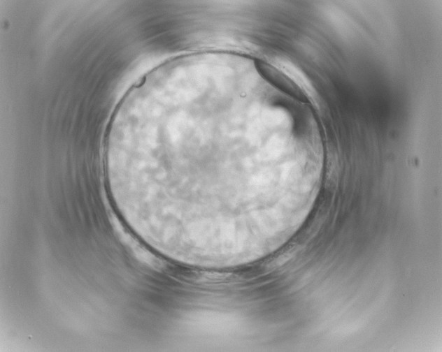 X0000088201439200706051221