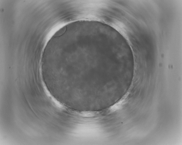 X0000088201440200706051221