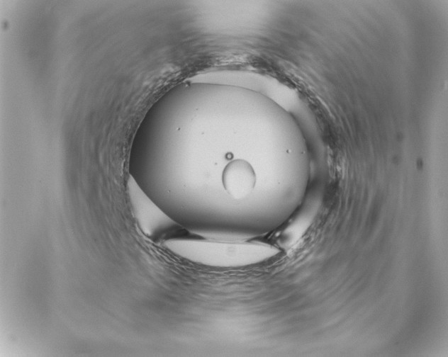 X0000088201441200706051220